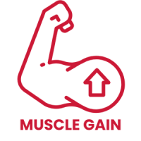 muscle gain